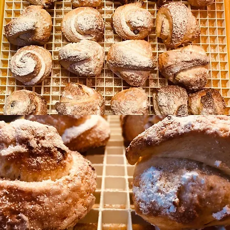 Skyline 1/7 Bed & Breakfast 4*