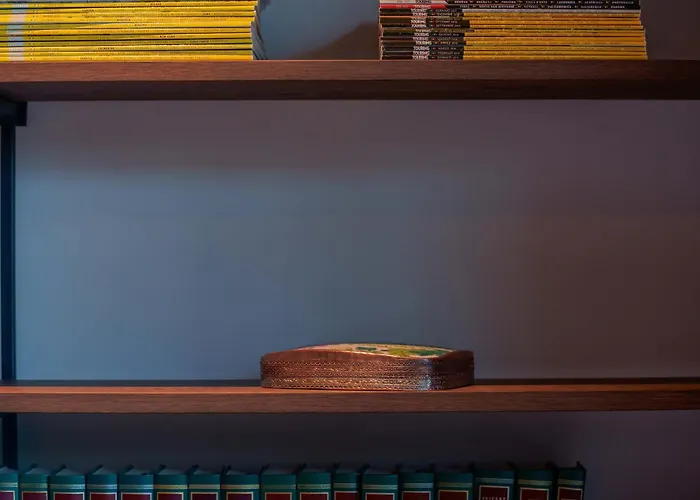 Skyline 1/7 4* Bolonya