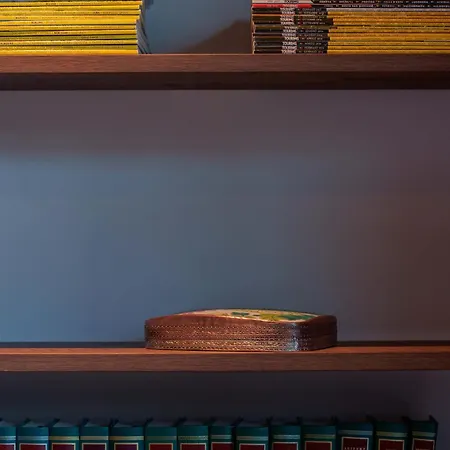 Skyline 1/7 4* בולוניה